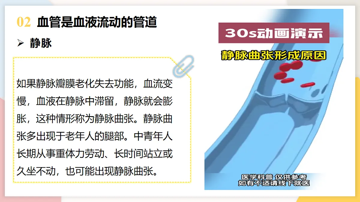 17773191第8页