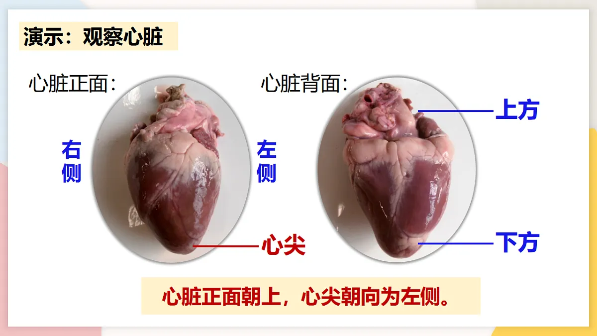 17773192第6页