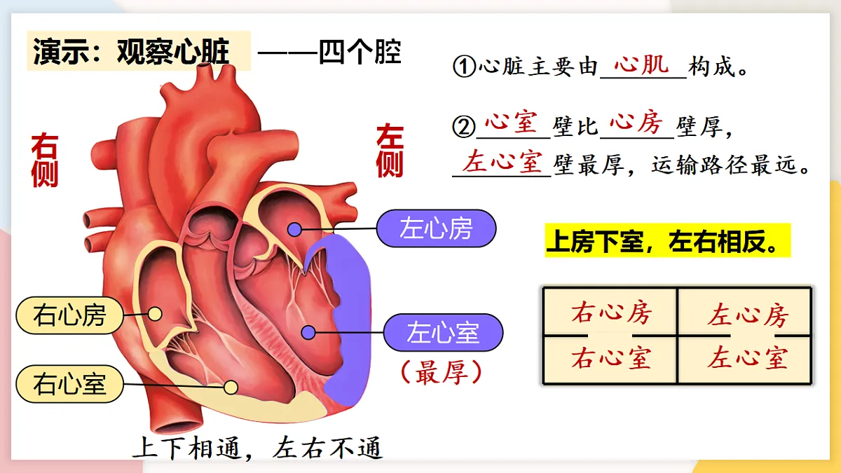 17773192第7页
