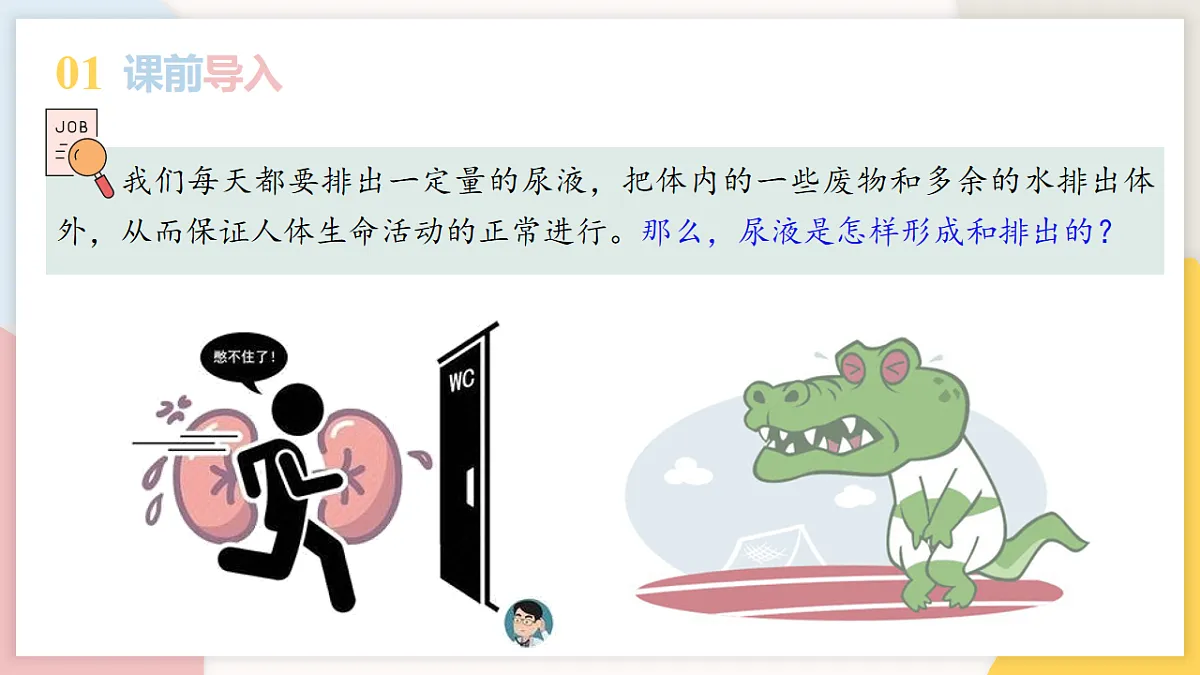 17773199第3页