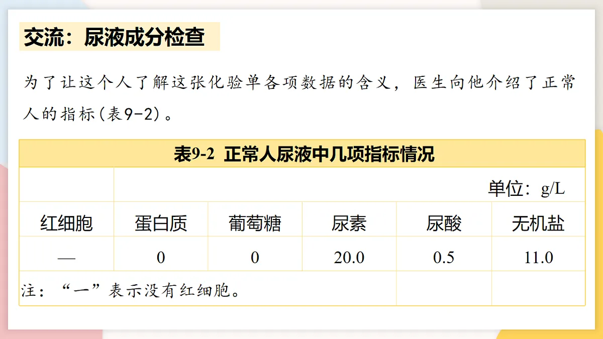 17773199第5页
