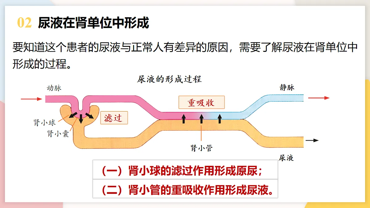 17773199第7页