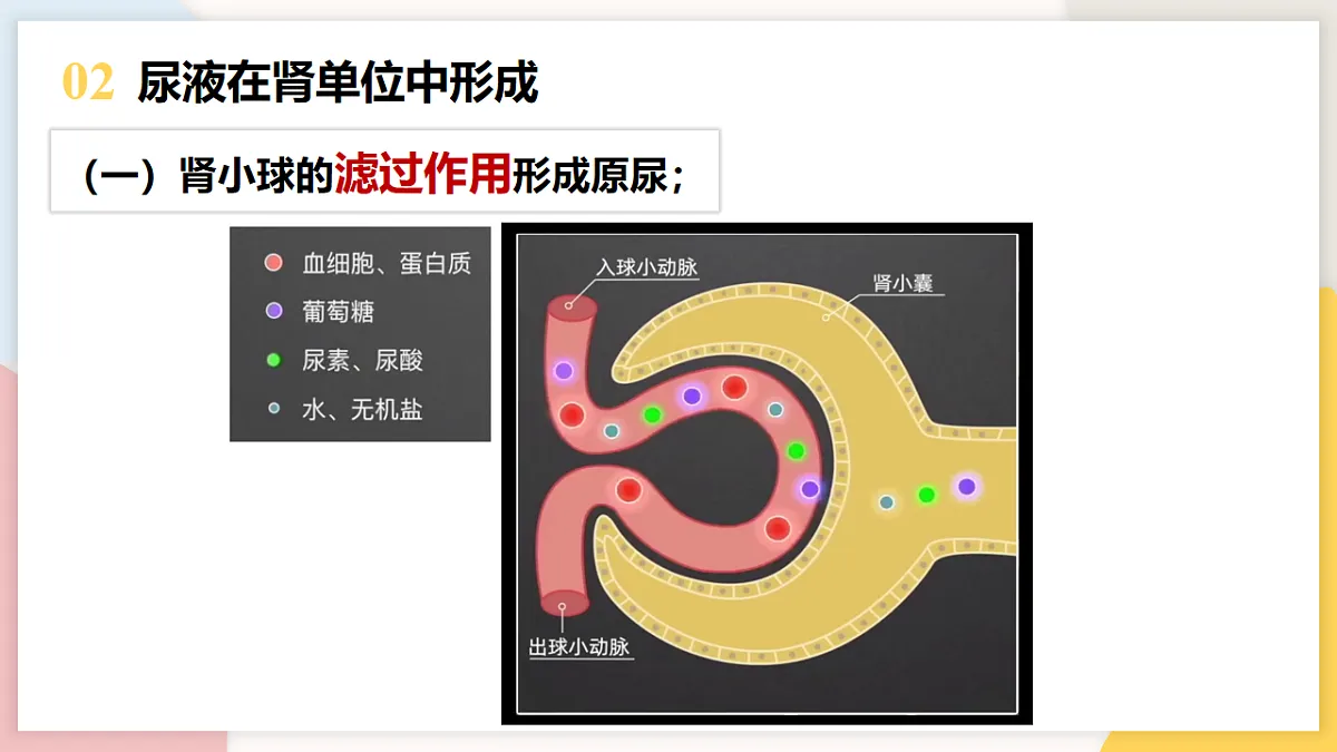 17773199第8页