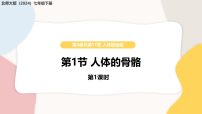 初中生物北师大版（2024）七年级下册（2024）人体的骨骼教学ppt课件