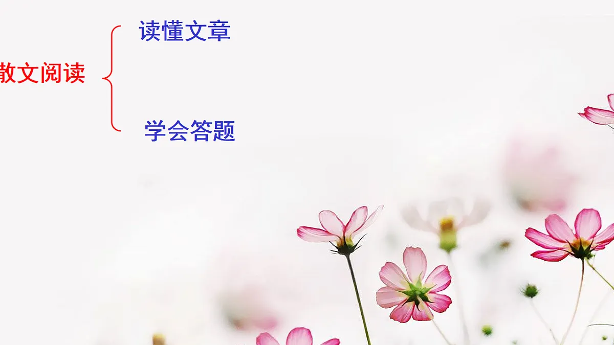 17774725第1页