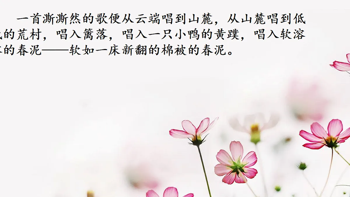 17774725第3页