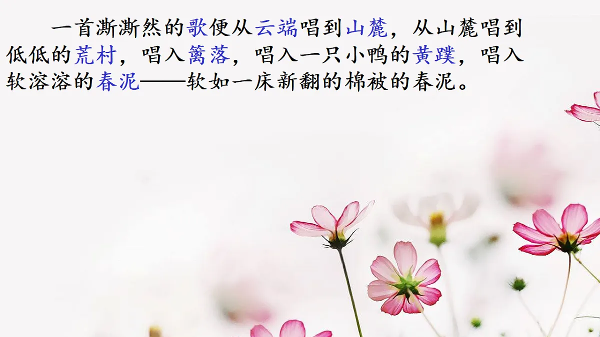 17774725第4页