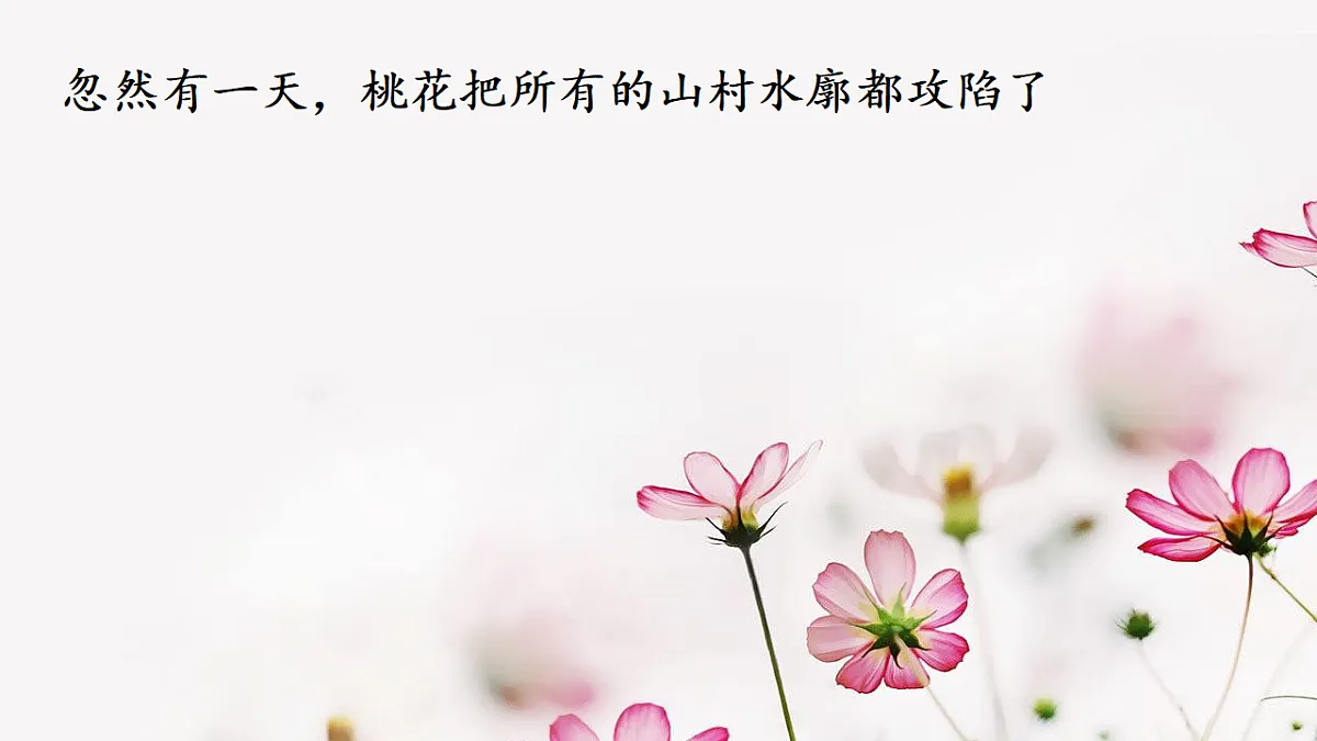 17774725第5页