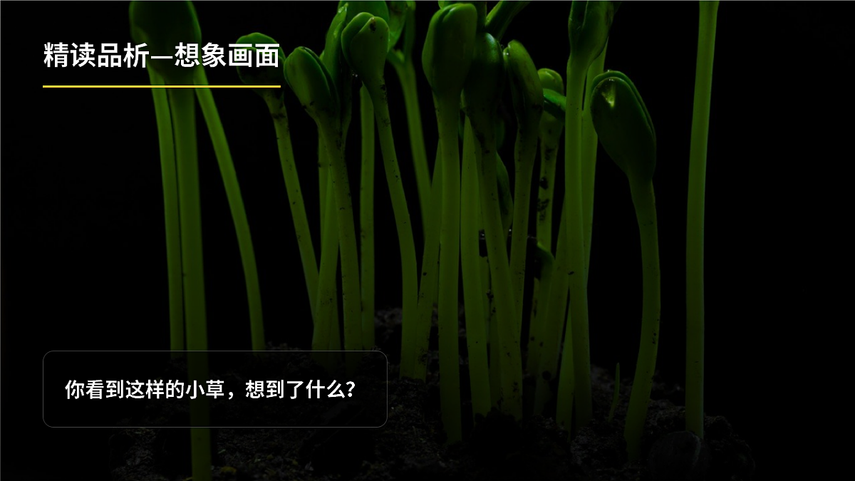 《找春天》第2课时(含课后习题)第6页