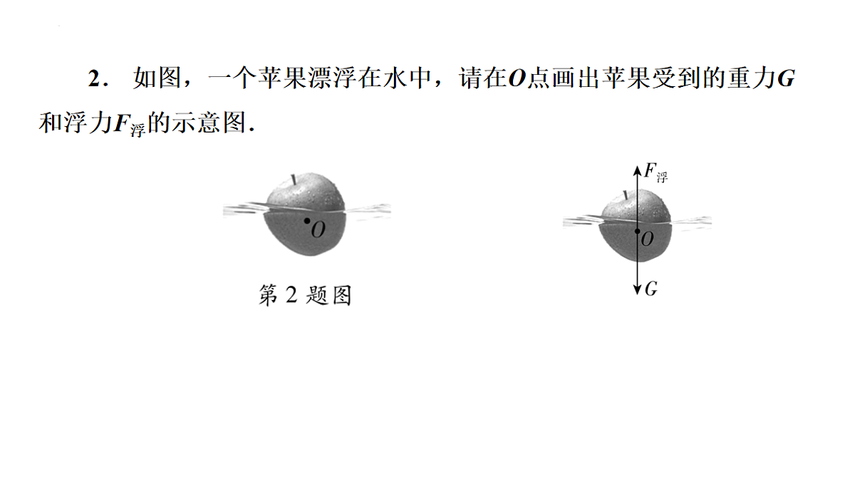 17775569第7页