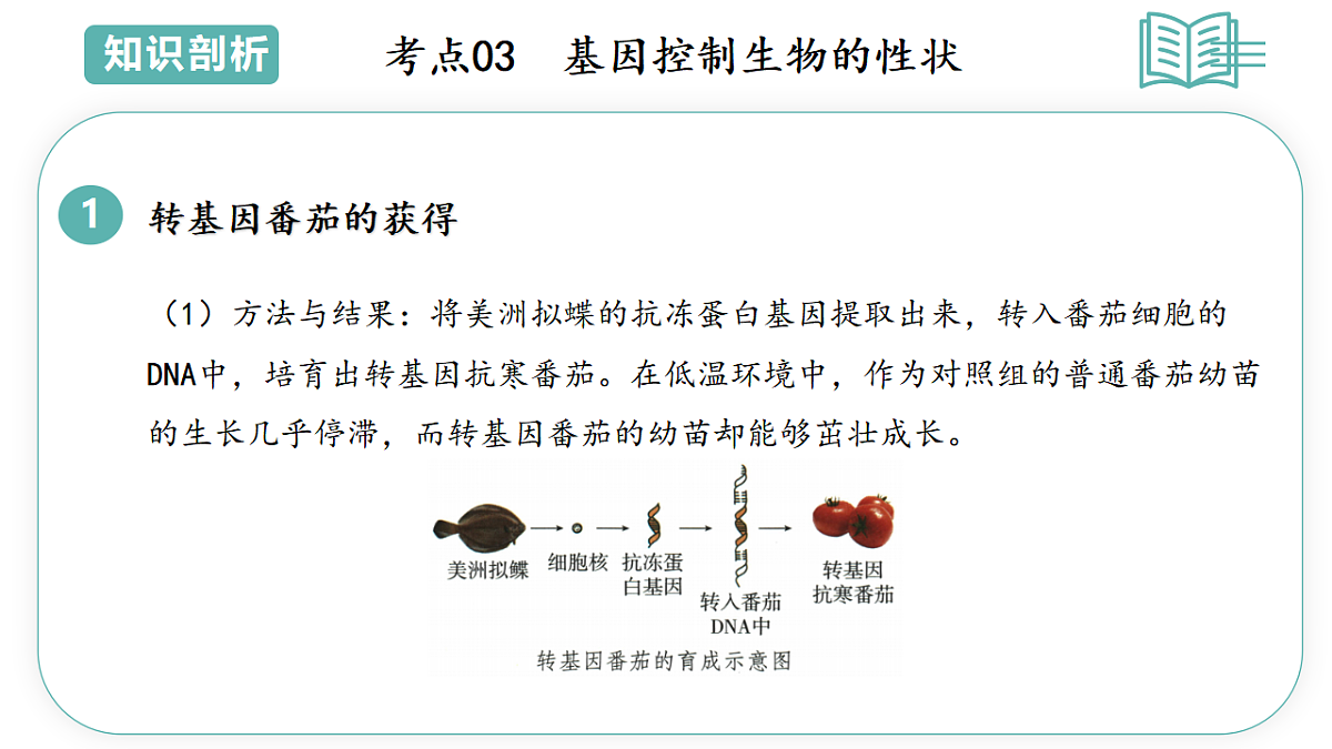 17775648第6页