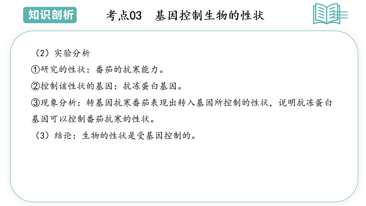17775648第7页