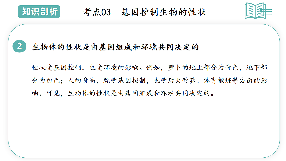 17775648第8页