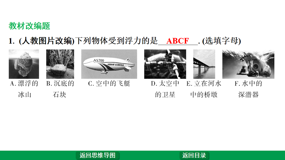 17775965第5页