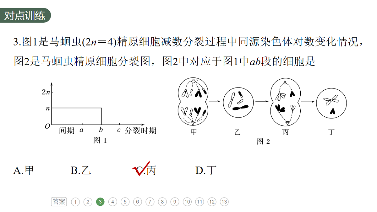 17776000第7页