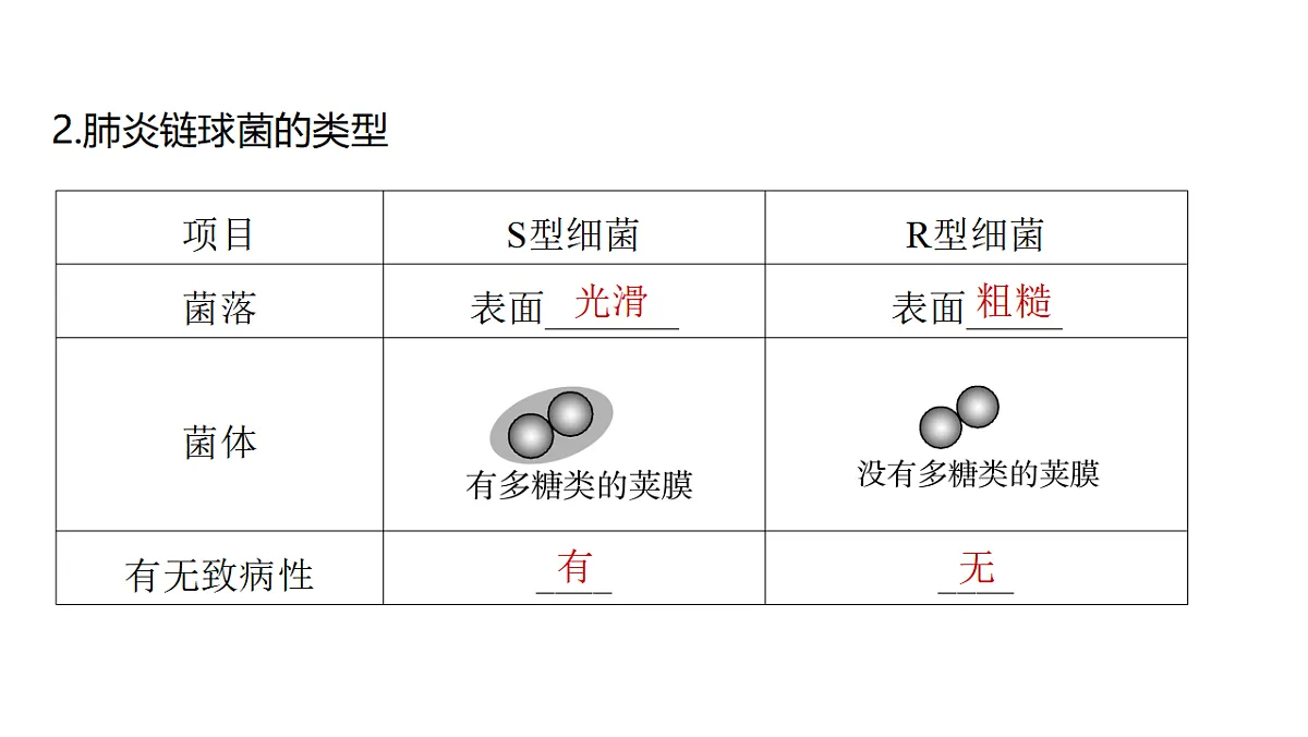17776001第4页