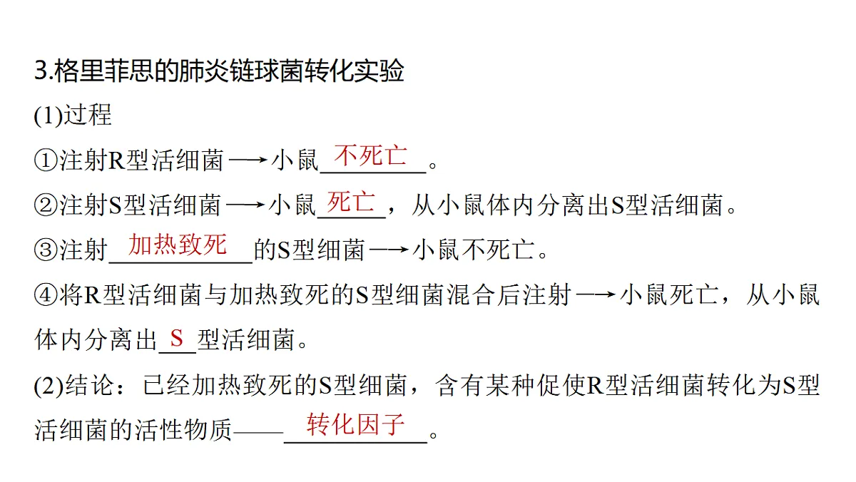 17776001第5页