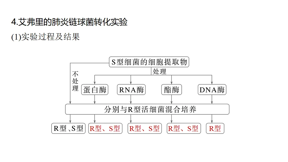 17776001第6页
