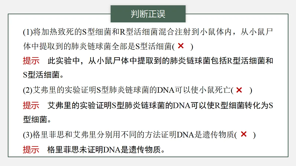 17776001第8页