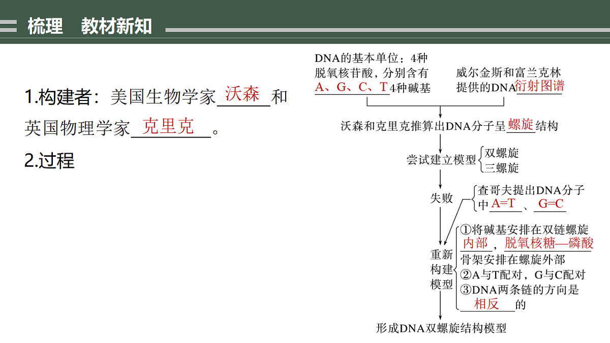 17776002第2页