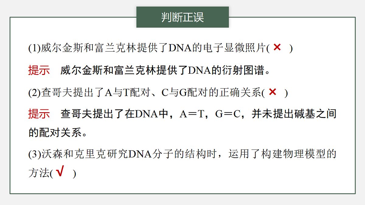 17776002第3页