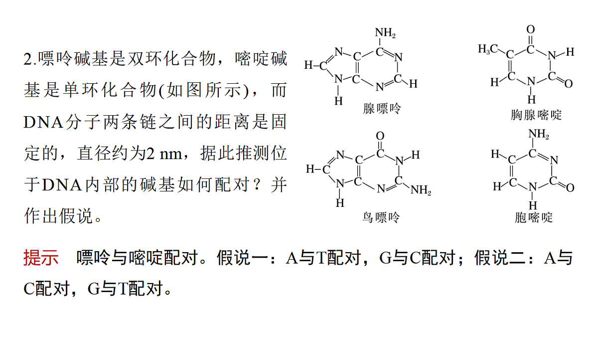 17776002第5页