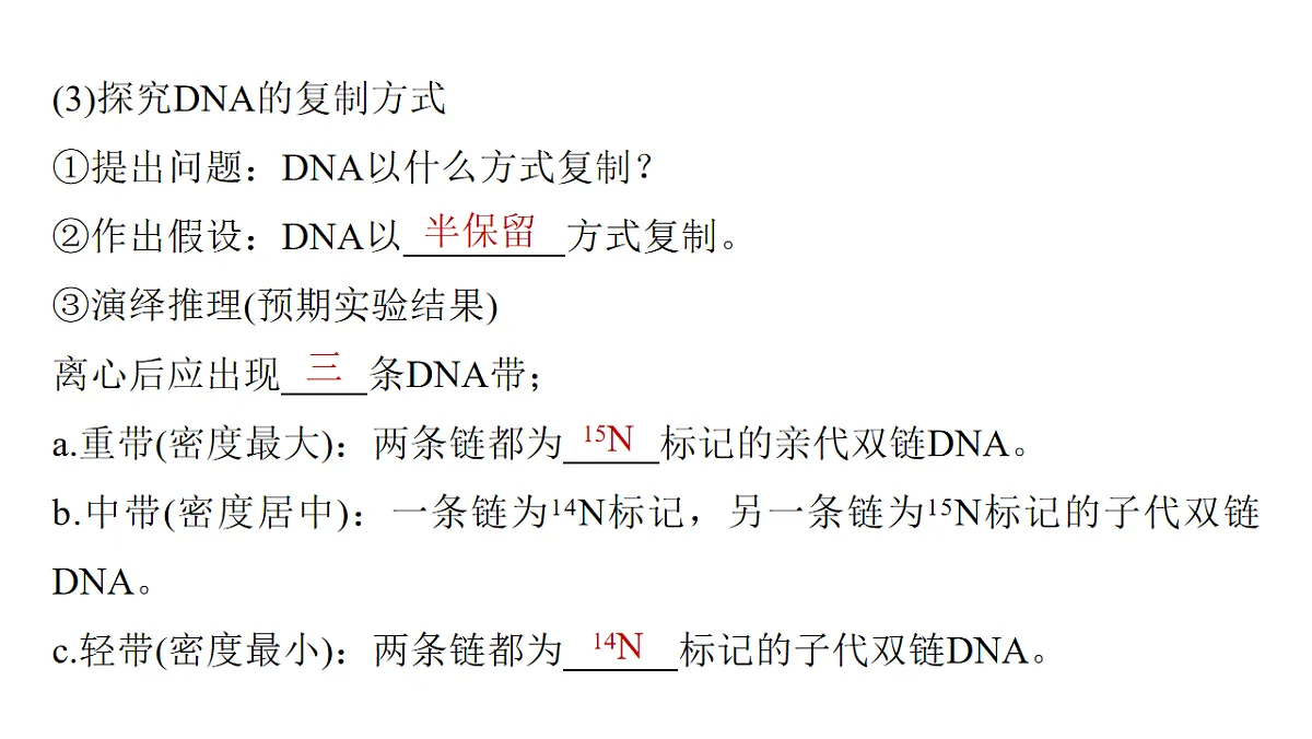 17776003第5页