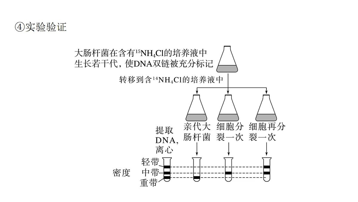 17776003第6页