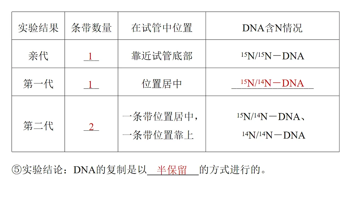 17776003第7页
