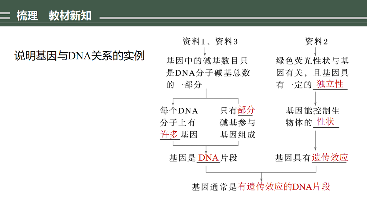 17776004第2页