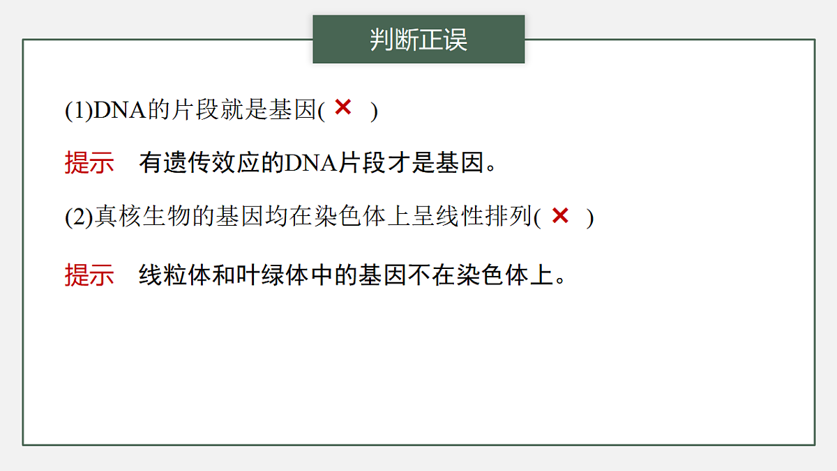 17776004第3页