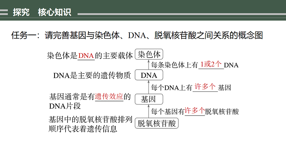 17776004第4页