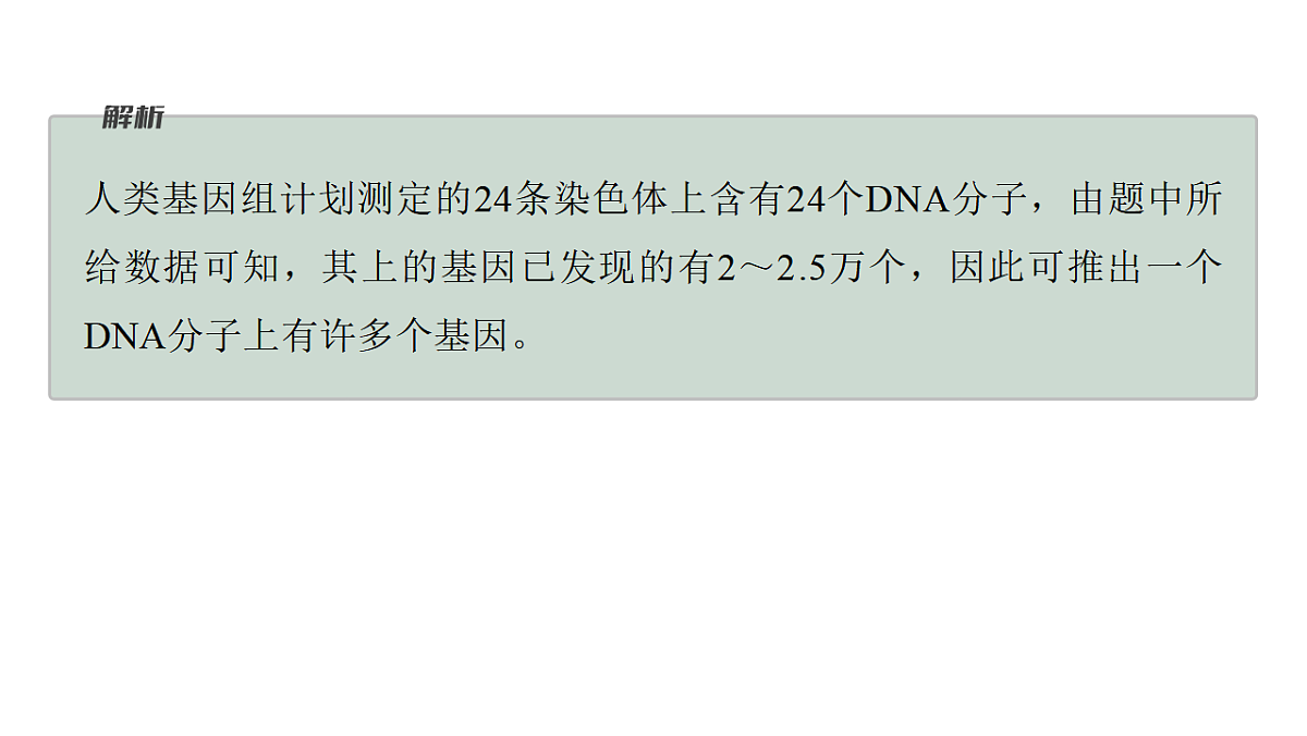 17776004第7页