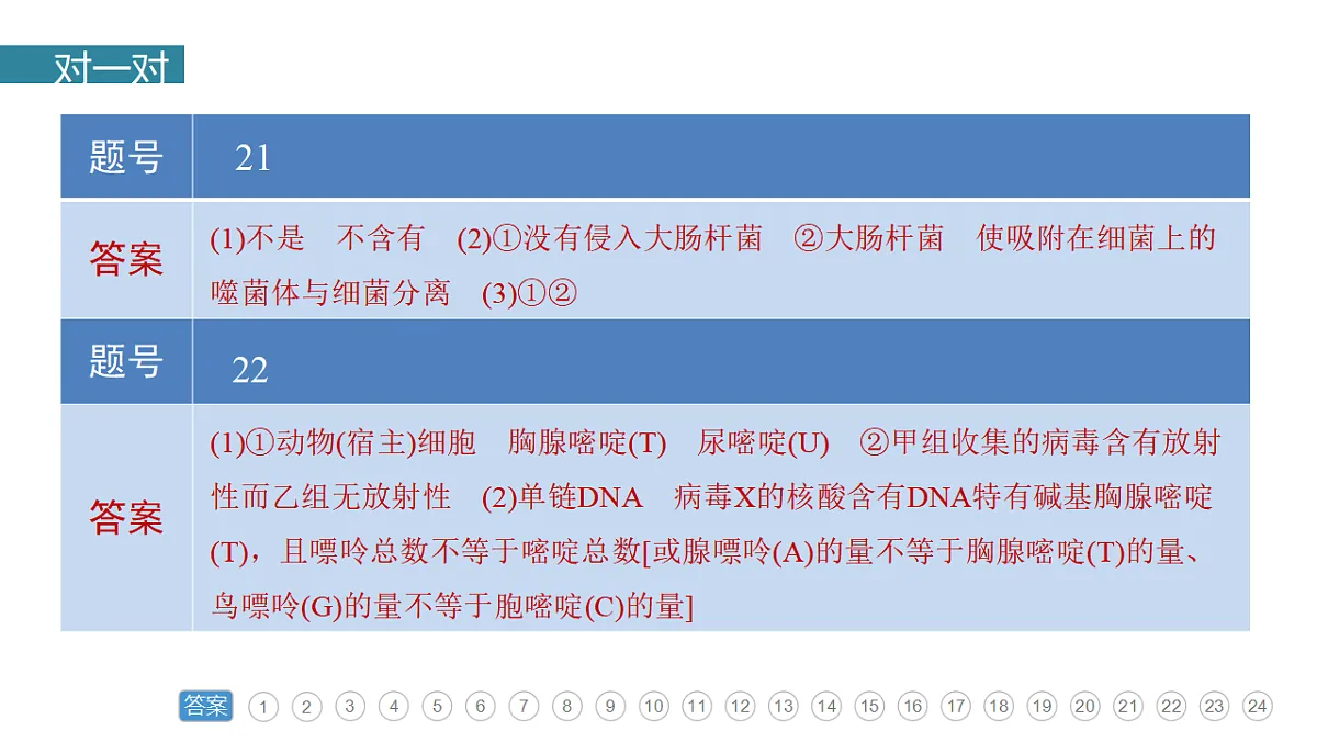 17776005第3页