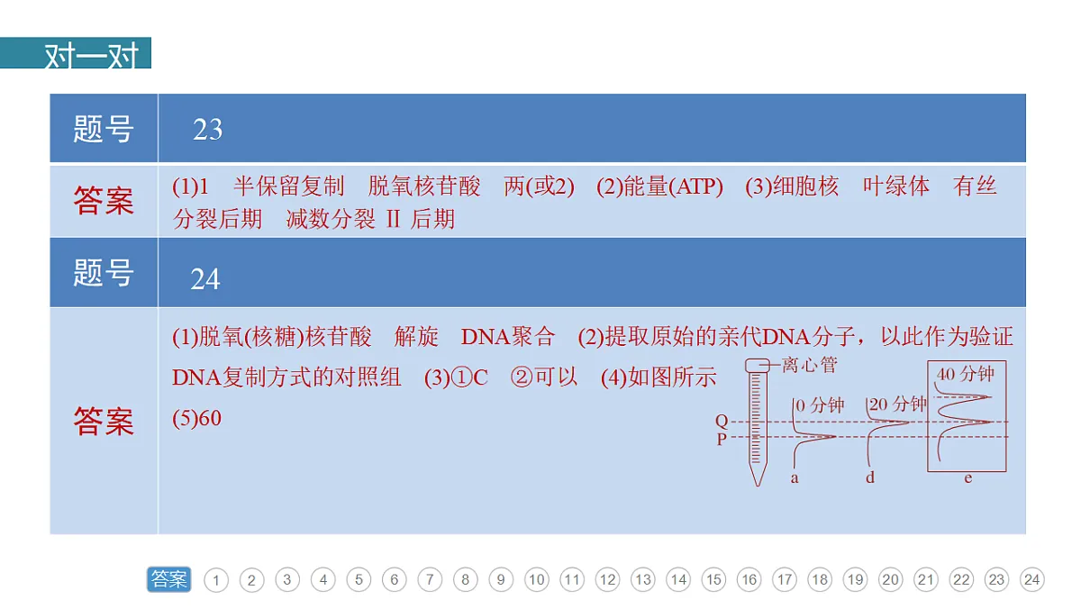 17776005第4页
