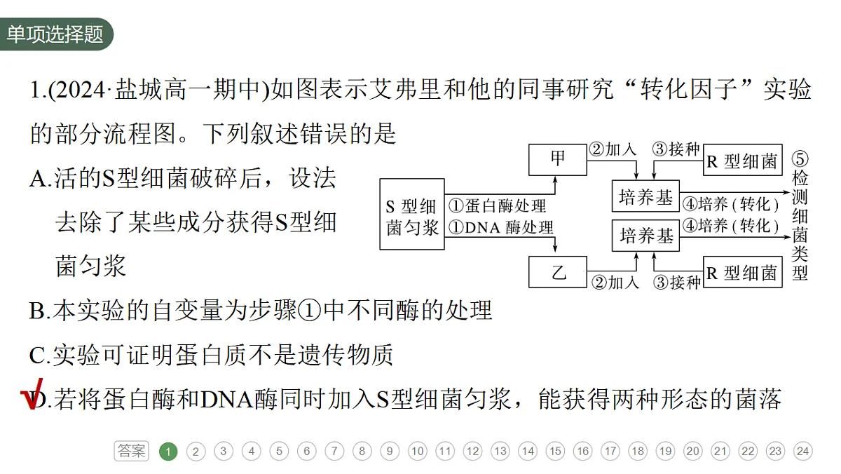 17776005第5页