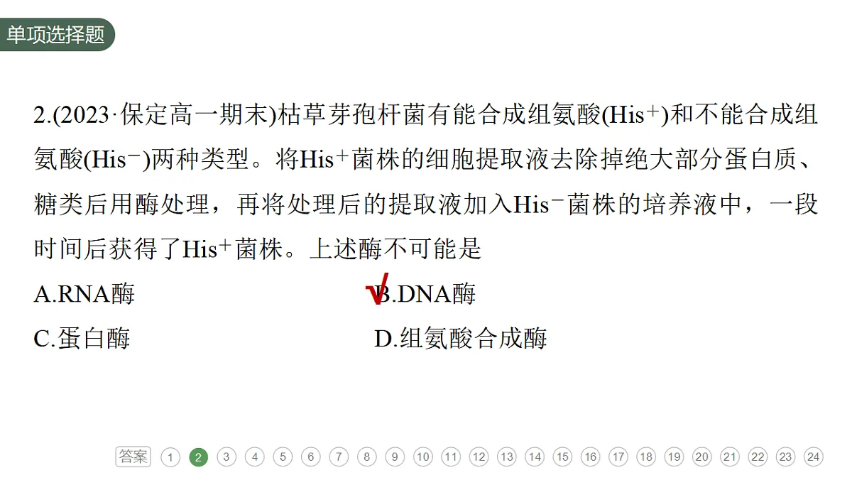 17776005第7页