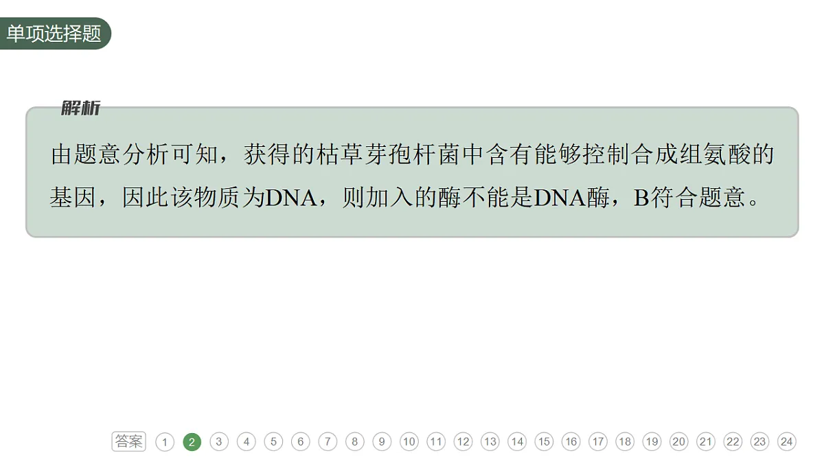 17776005第8页