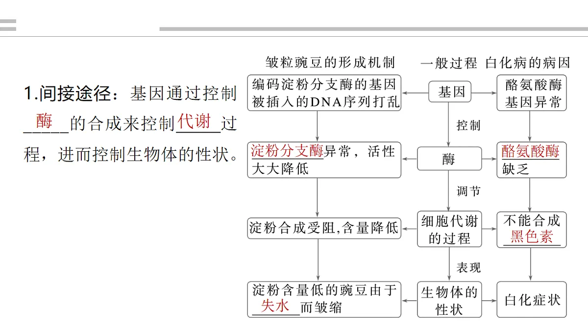 17776007第4页