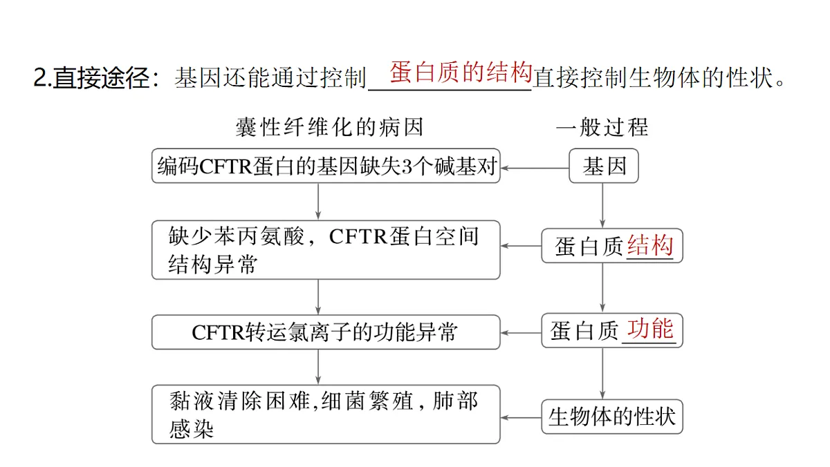 17776007第5页