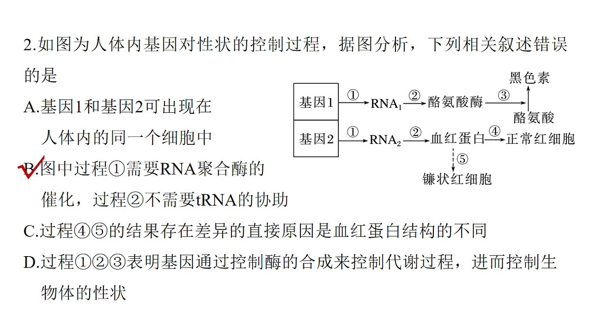 17776007第8页