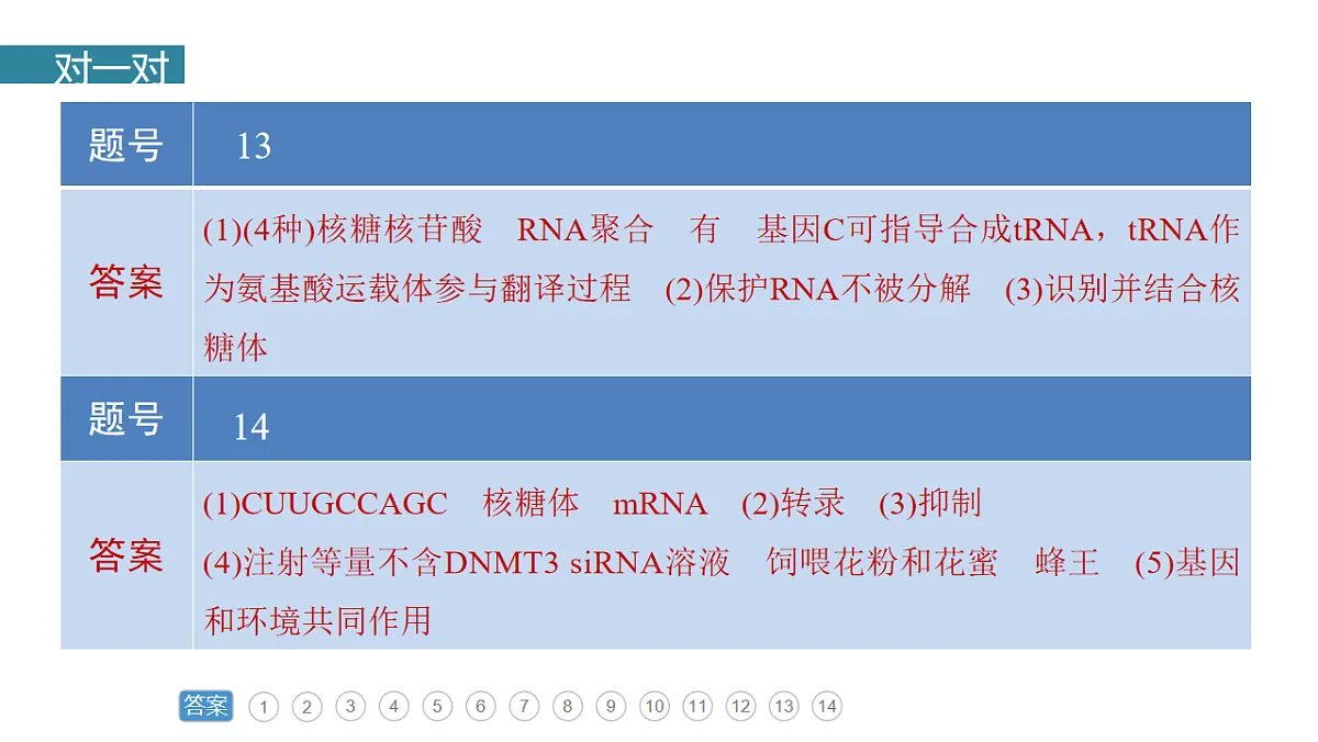 17776352第3页
