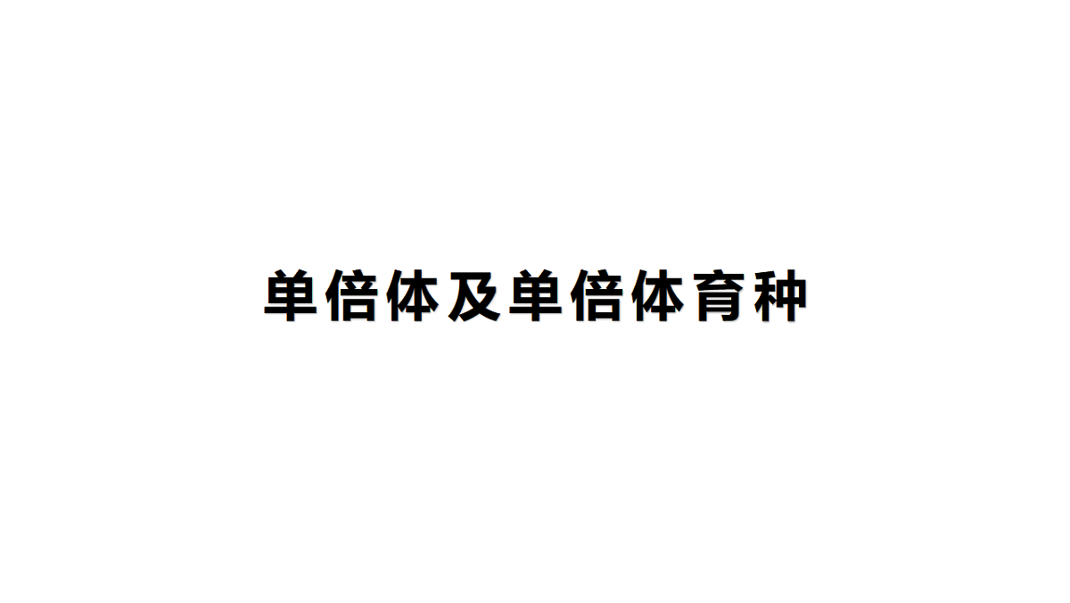 17776359第2页