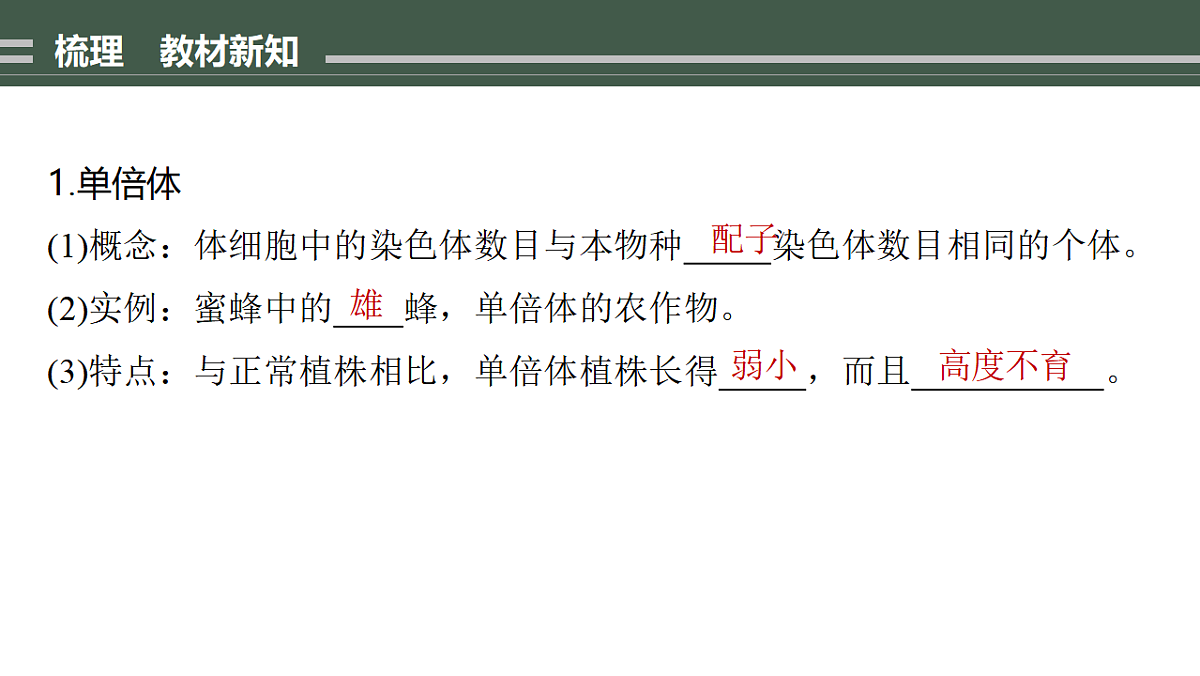 17776359第3页