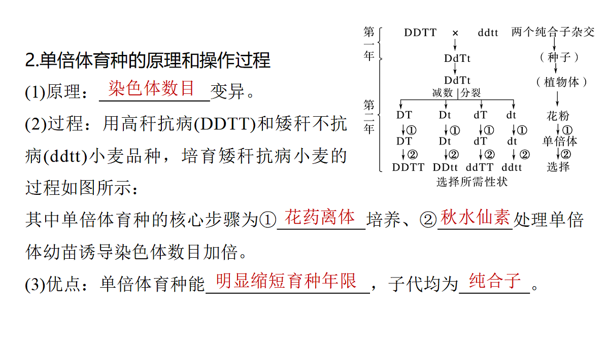 17776359第4页