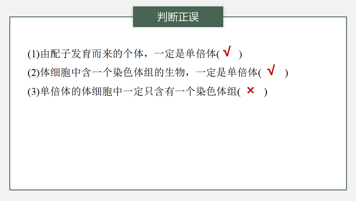 17776359第5页