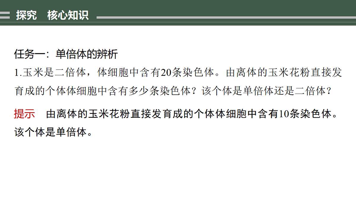 17776359第6页