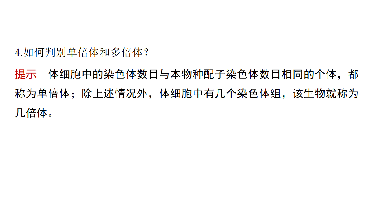 17776359第8页