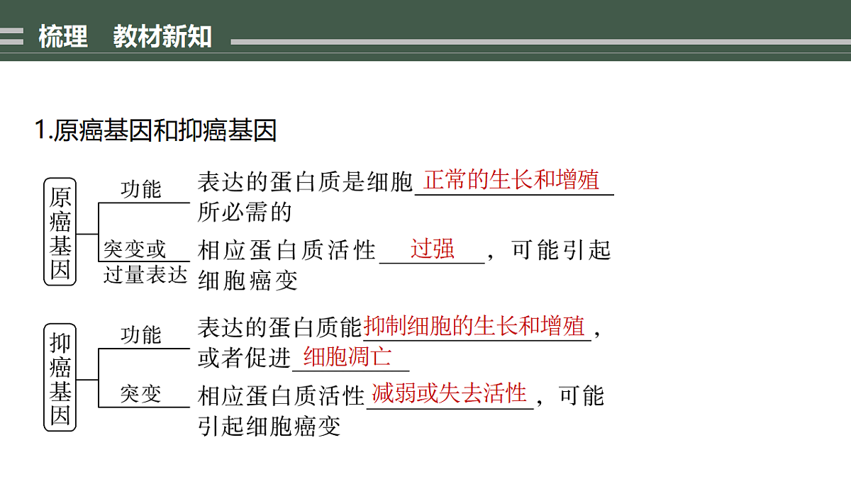 17776363第4页
