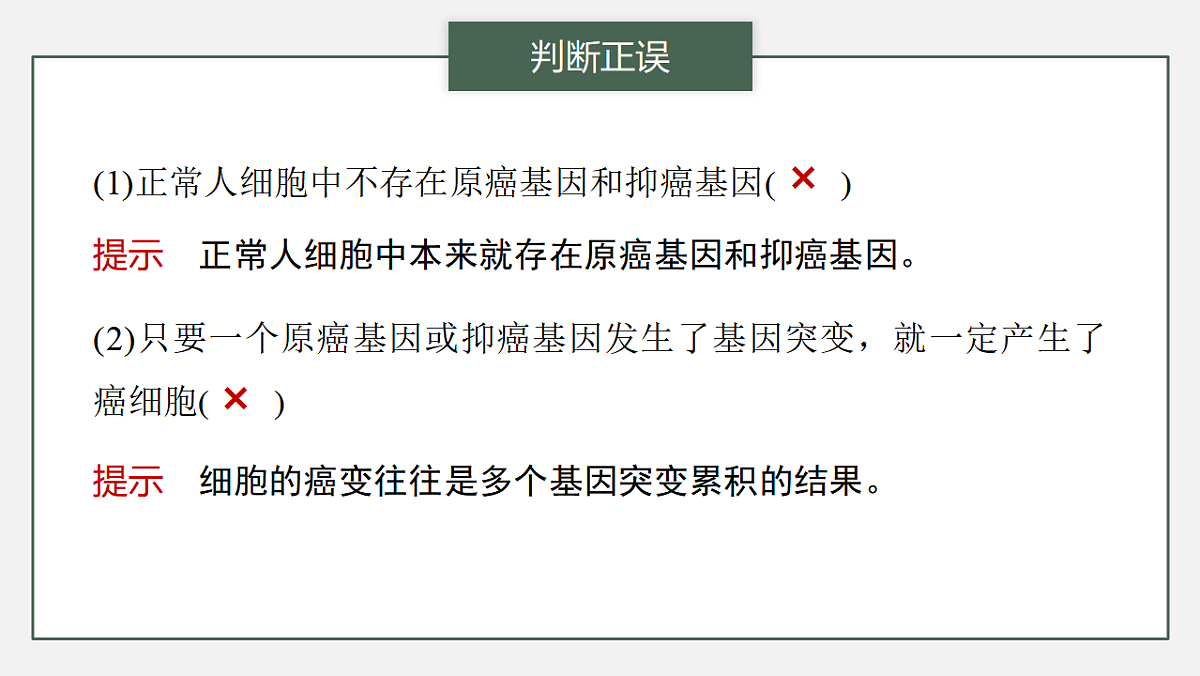 17776363第6页